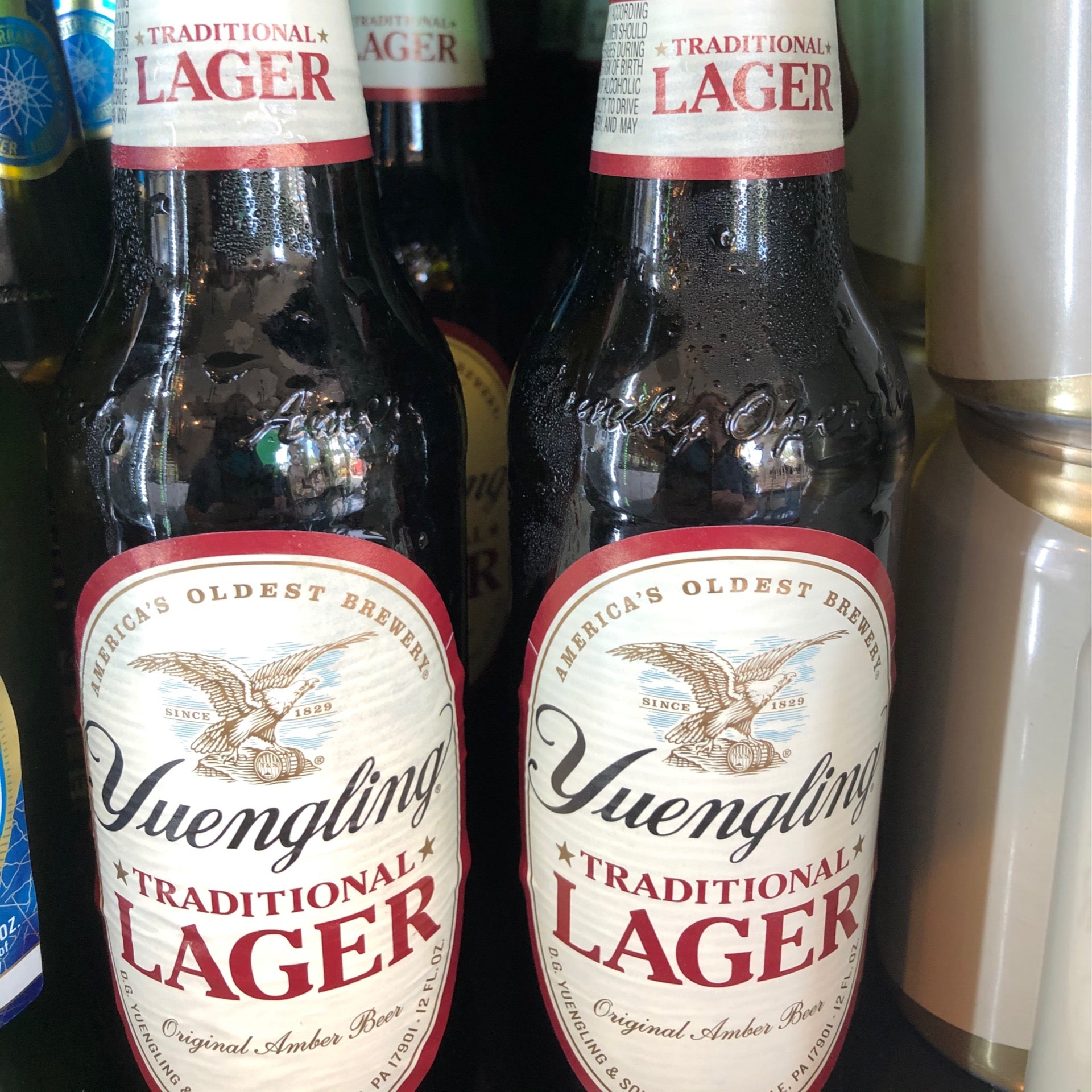 yuengling ale